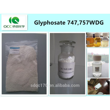 Herbizid / Weedizid-Glyphosat 747 g / l, 757 g / l WDG, 74,7%, 75,7% WDG, Cas: 1071-83-6 -lq